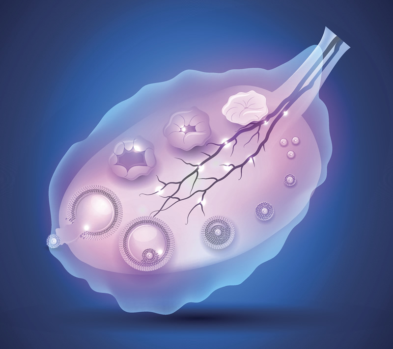 长沙做试管哪个医院好些！长沙哪家医院做试管婴儿技术好！